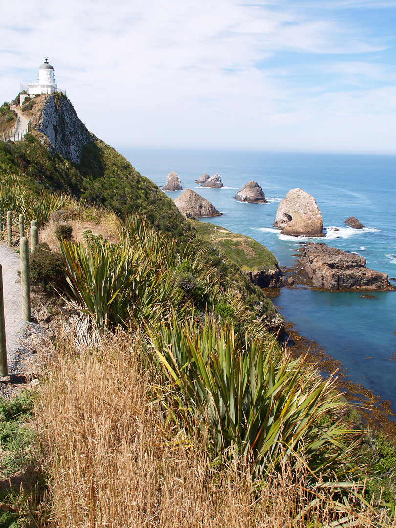 Nugget Point