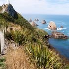 Nugget Point