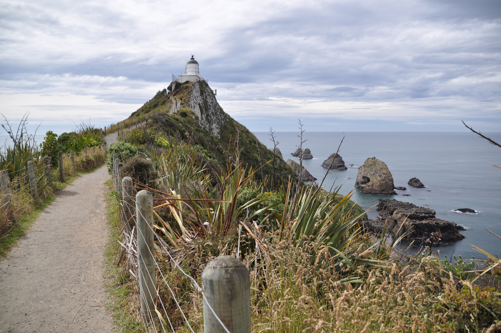 Nugget Point