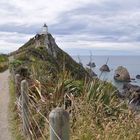 Nugget Point