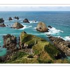 Nugget Point