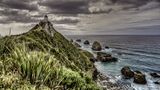 Nugget Point von Daniel Schluep 