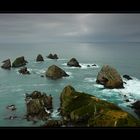 Nugget Point