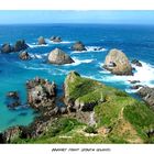 Nugget Point