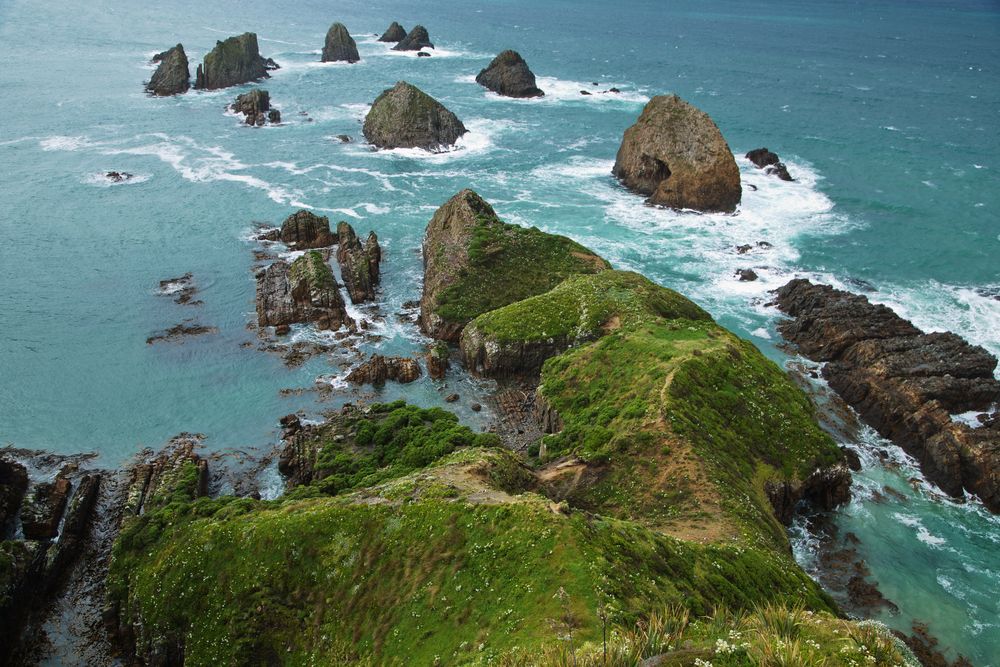 Nugget Point