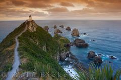 Nugget Point Leuchtturm Neuseeland