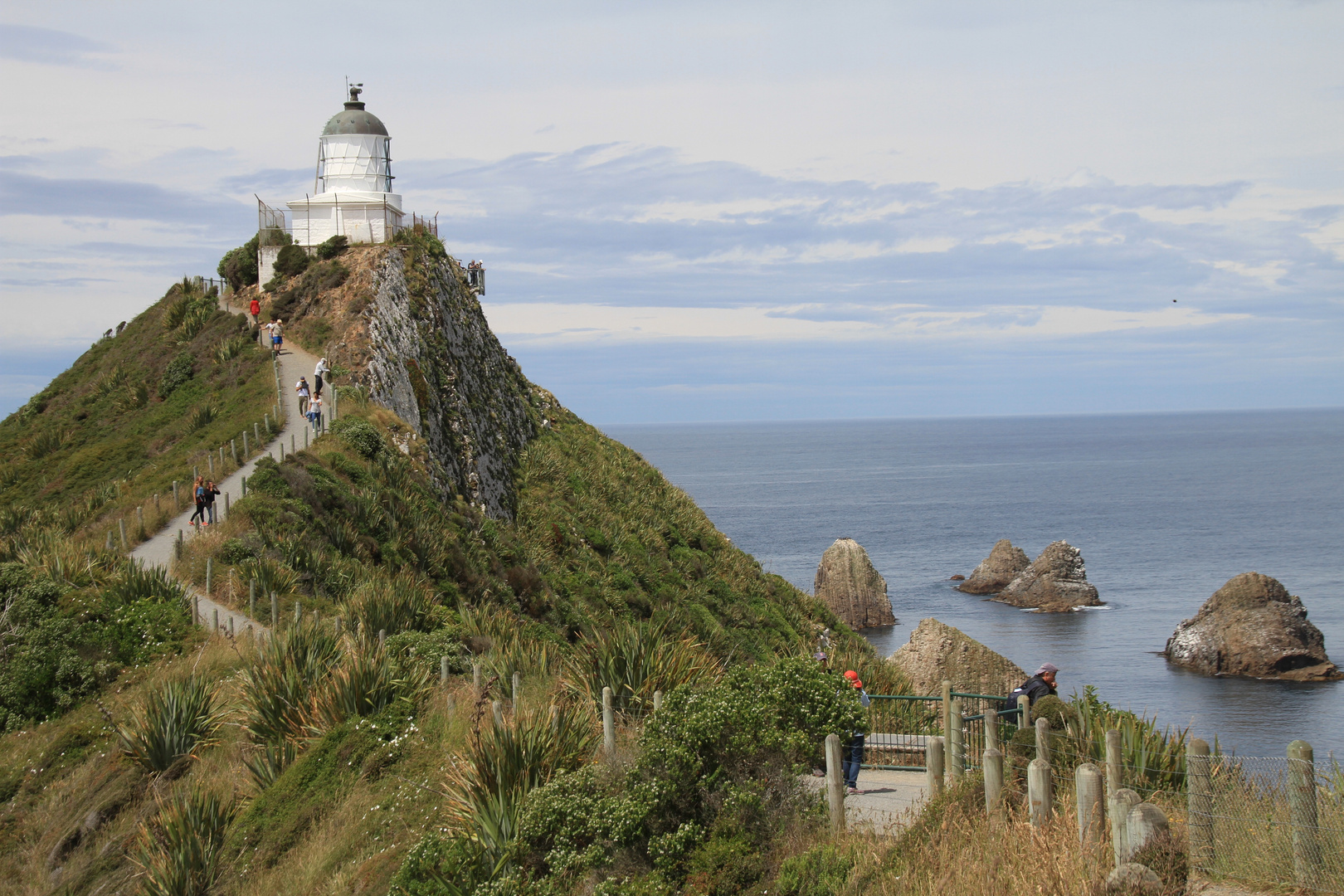 Nugget Point Lighthouse Otego Neuseelad Südinsel