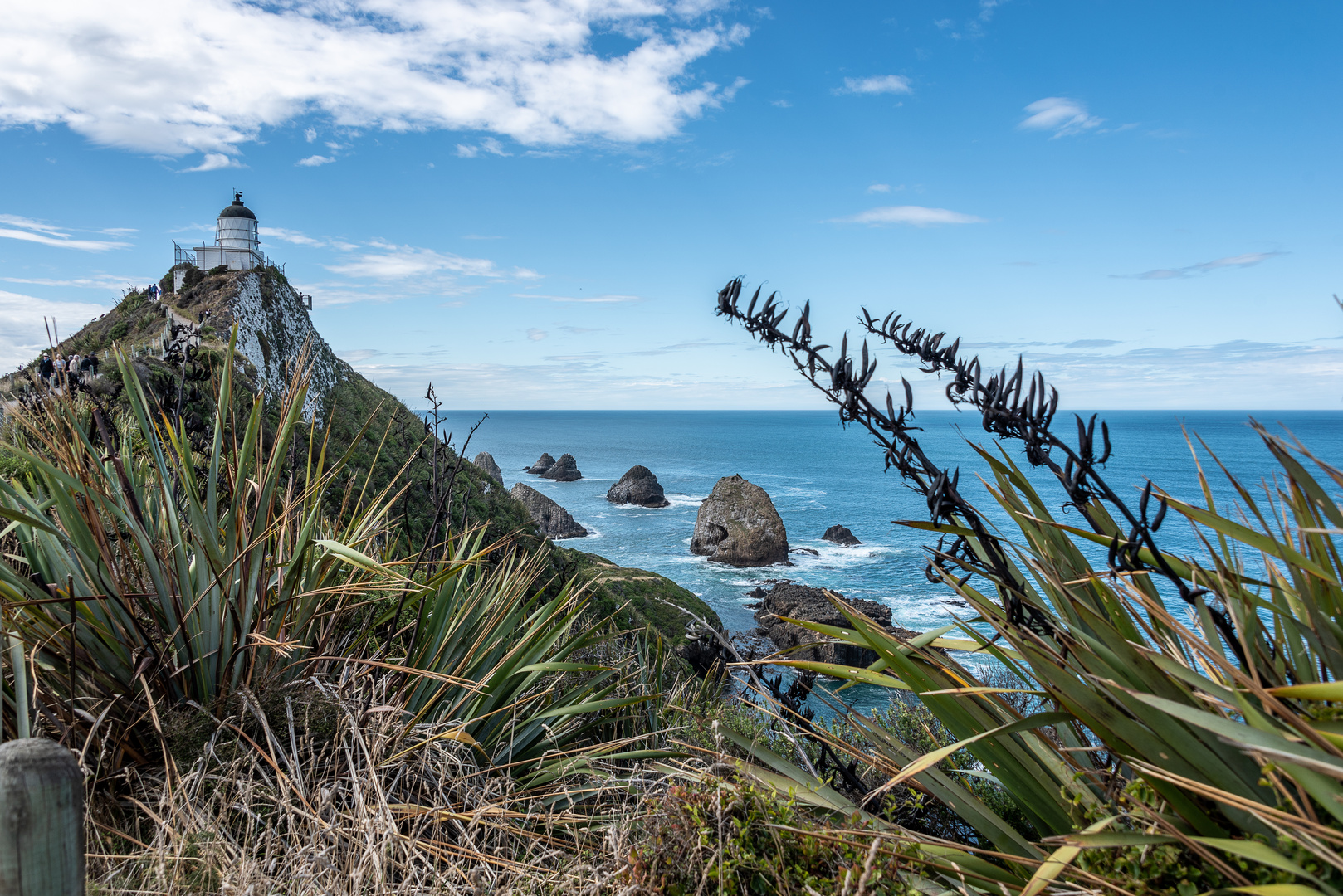 Nugget Point Lighthouse_Neuseeland