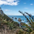 Nugget Point Lighthouse_Neuseeland