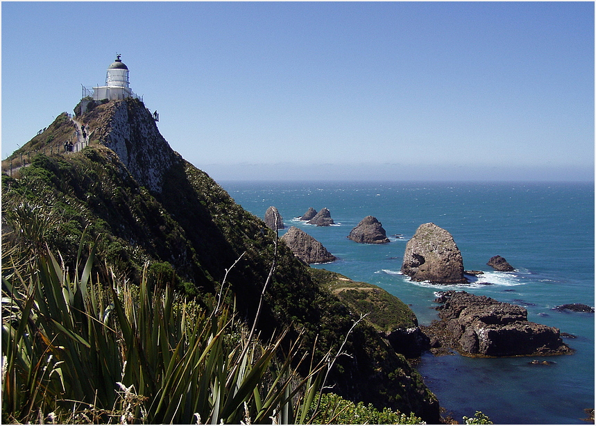 Nugget-Point Neuseeland