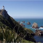 Nugget-Point Neuseeland