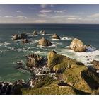 Nugget Point - Neuseeland