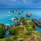 Nugget Point Neuseeland