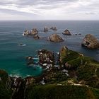 Nugget Point NZ