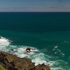 Nugget Point, NZ