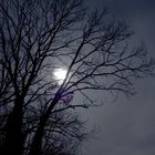 Nuit de pleine Lune