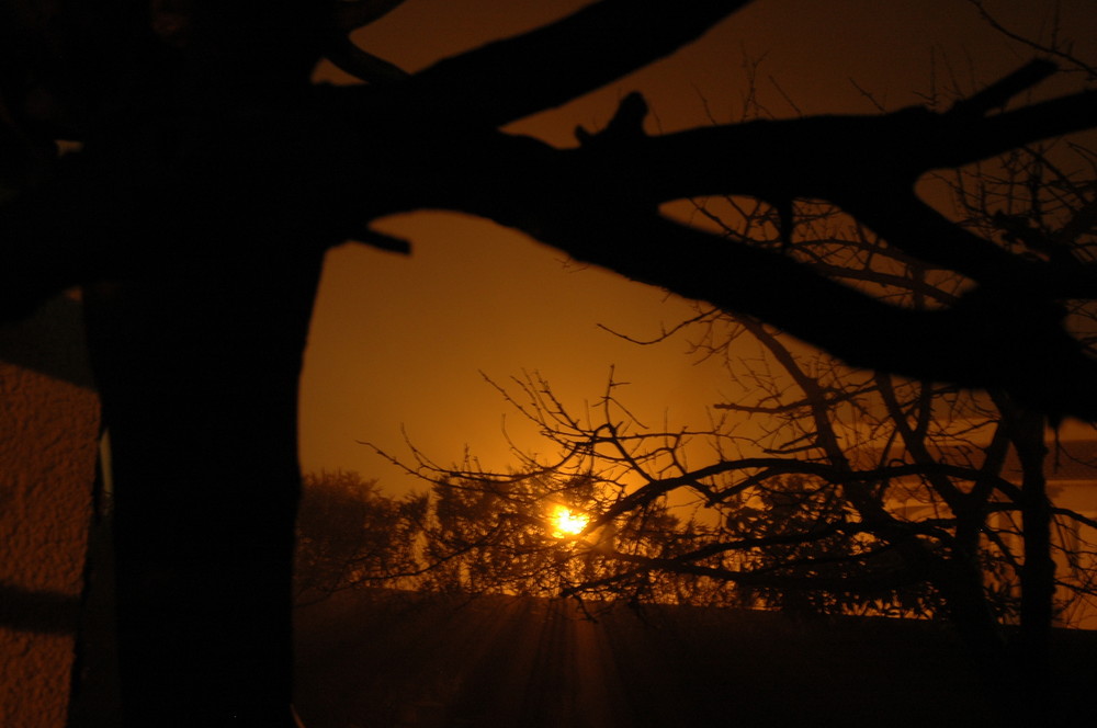 Nuit d'été brumeuse