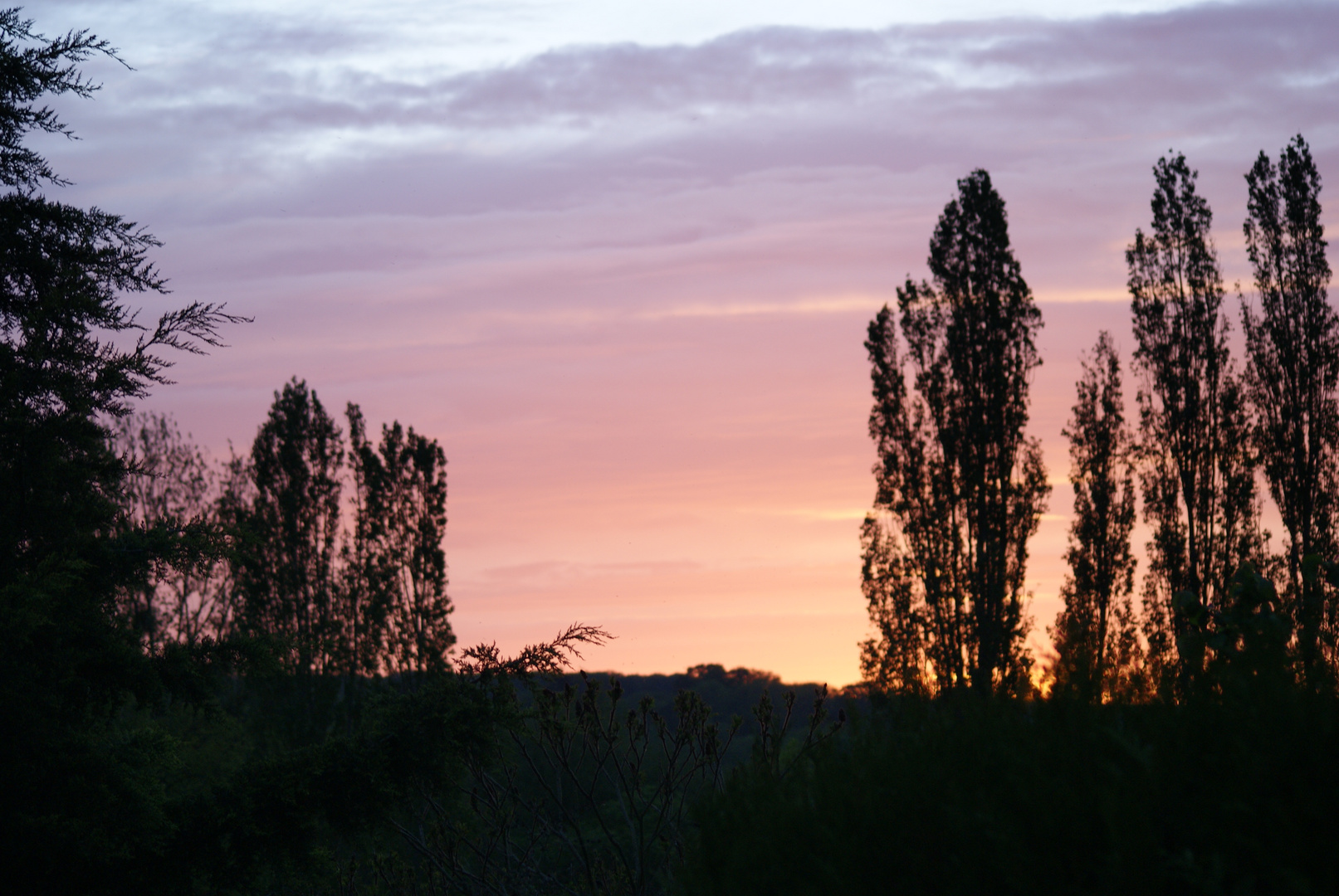 nuit tombante !