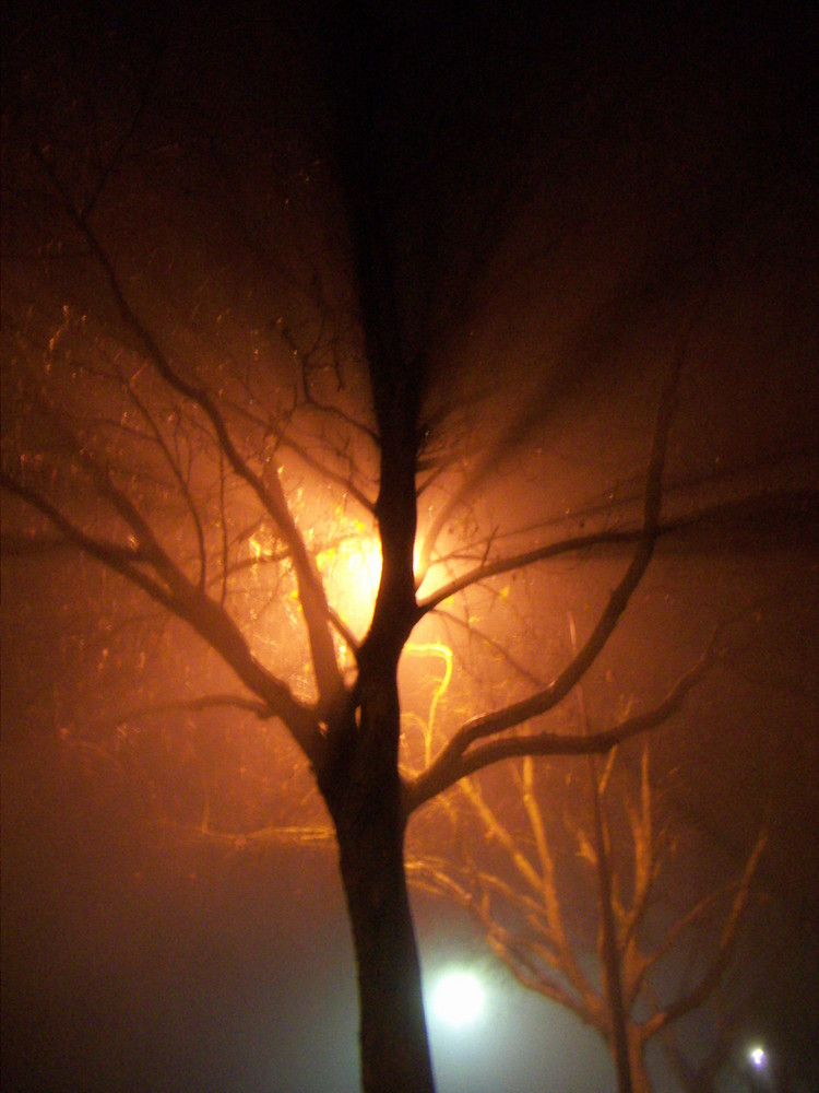 Nuit tombée