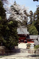 Nukisaki Shrine in Gunma Pref.