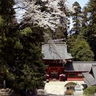 Nukisaki Shrine in Gunma Pref.