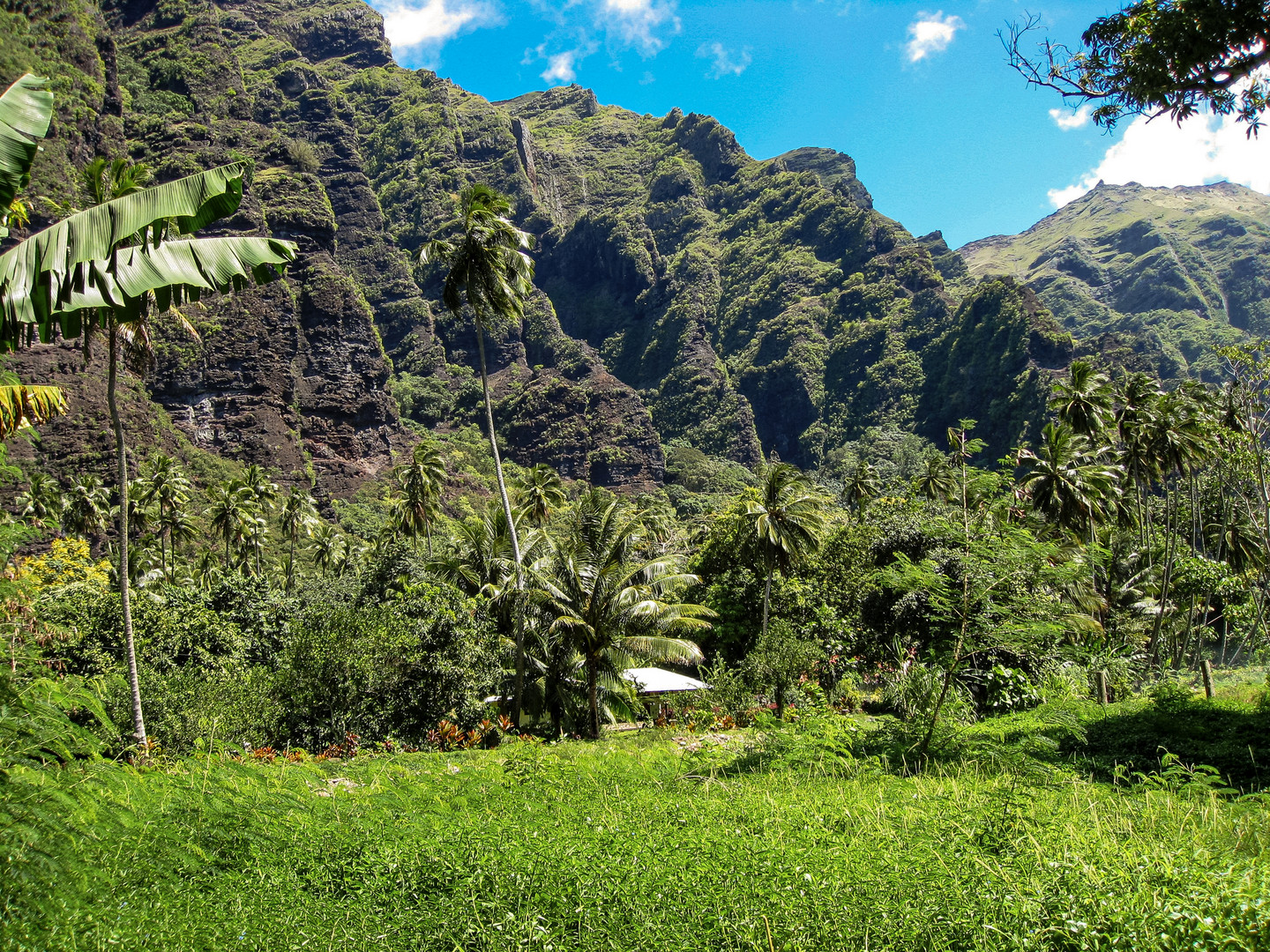 Nuku Hiva III