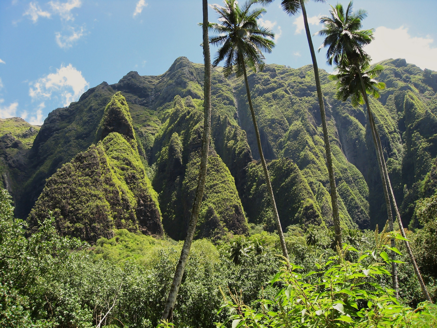 Nuku Hiva ist einzigartig