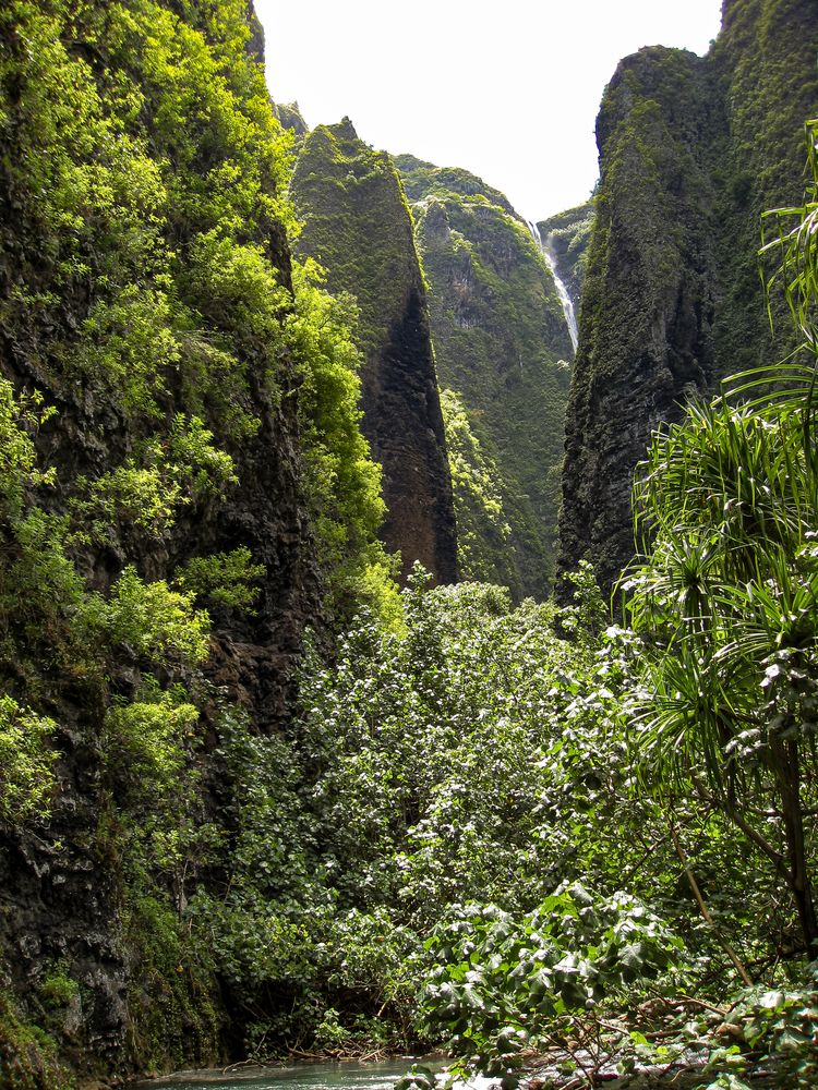 Nuku Hiva IX