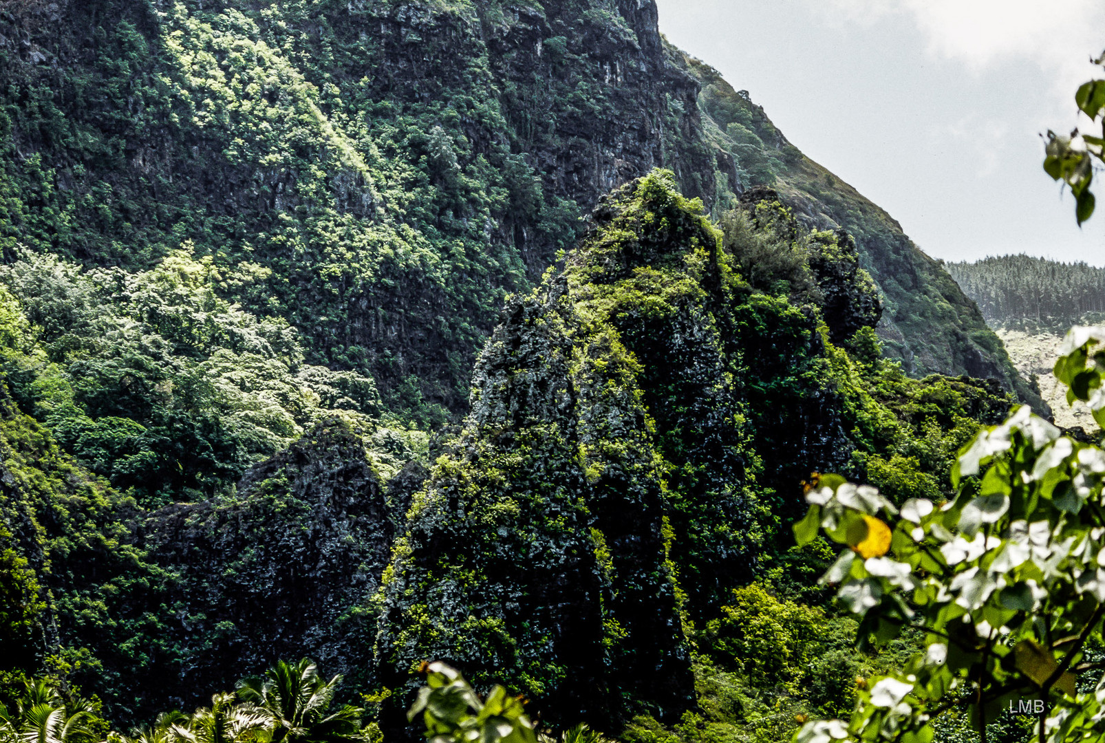 Nuku Hiva Kletterpartie