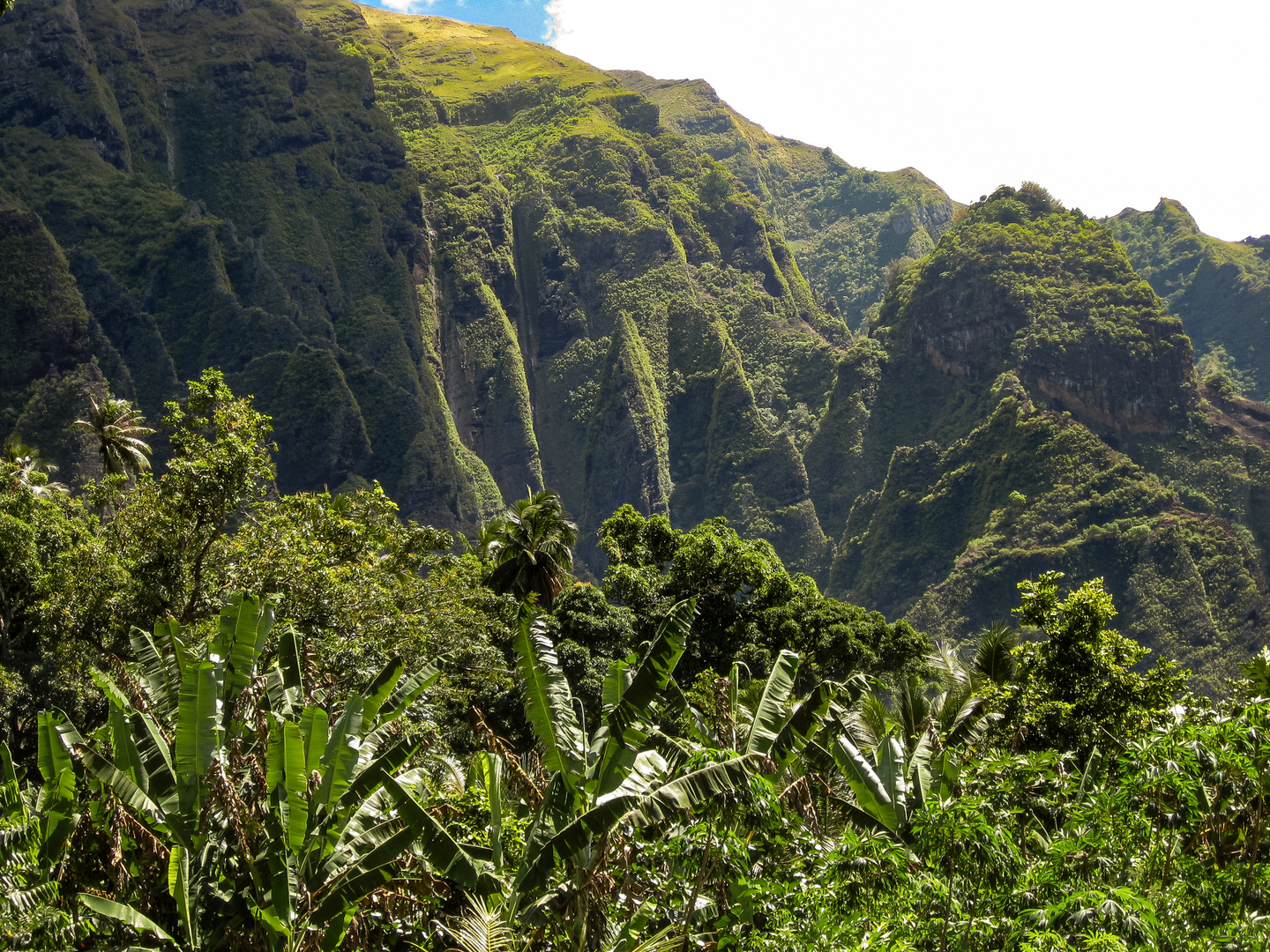 Nuku Hiva V