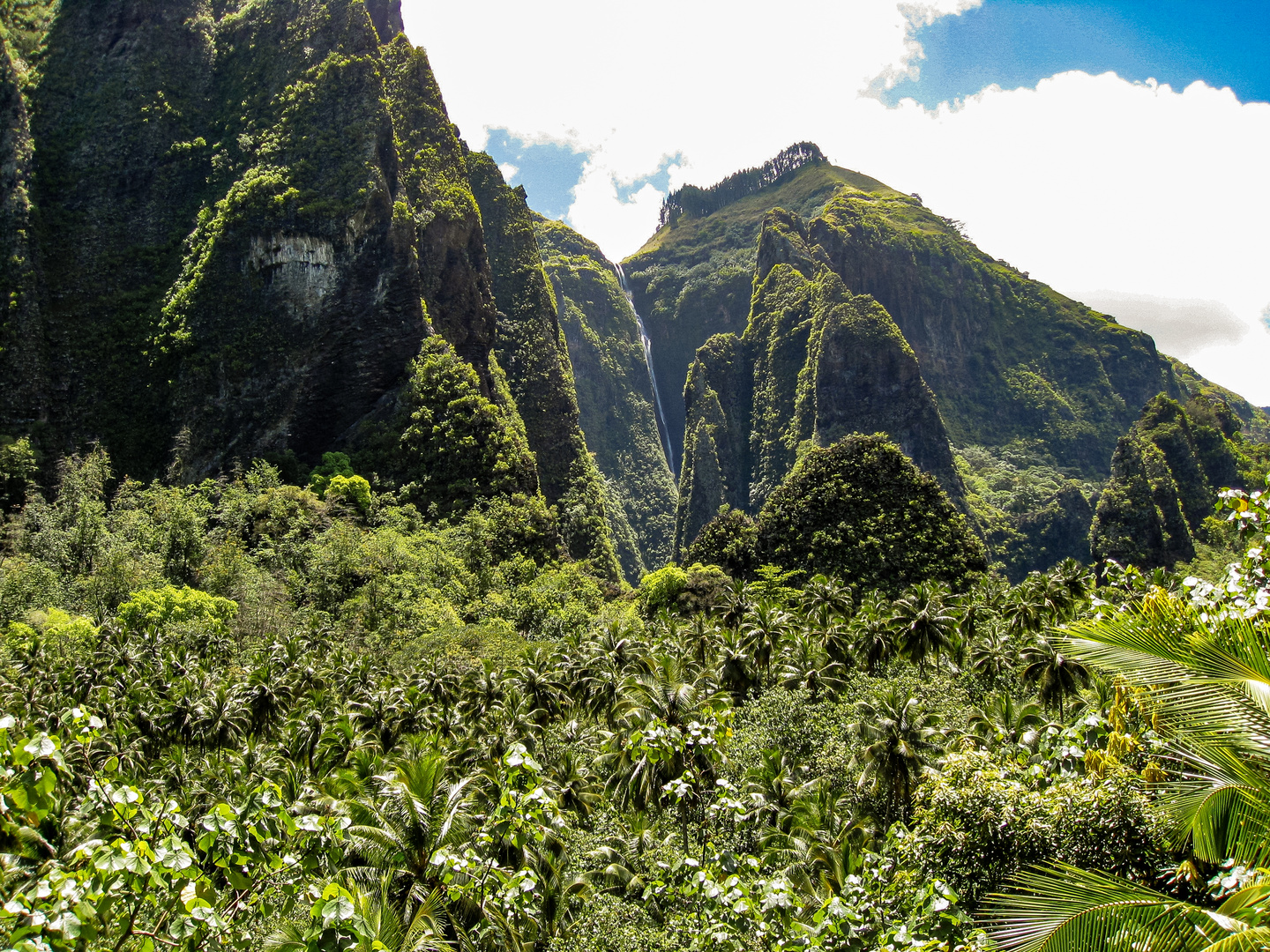 Nuku Hiva VII