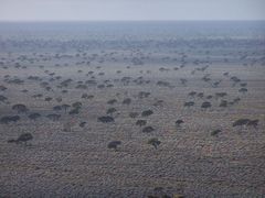 Nullarbor.....