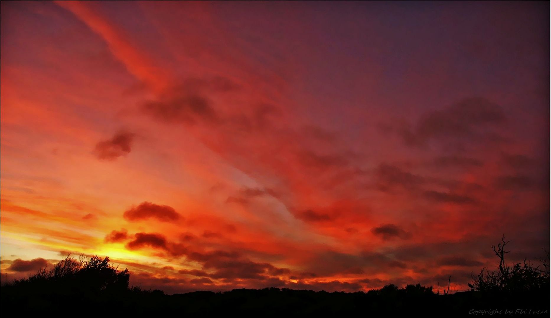 * Nullarbor Sky *