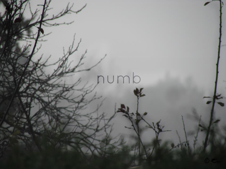 numb.
