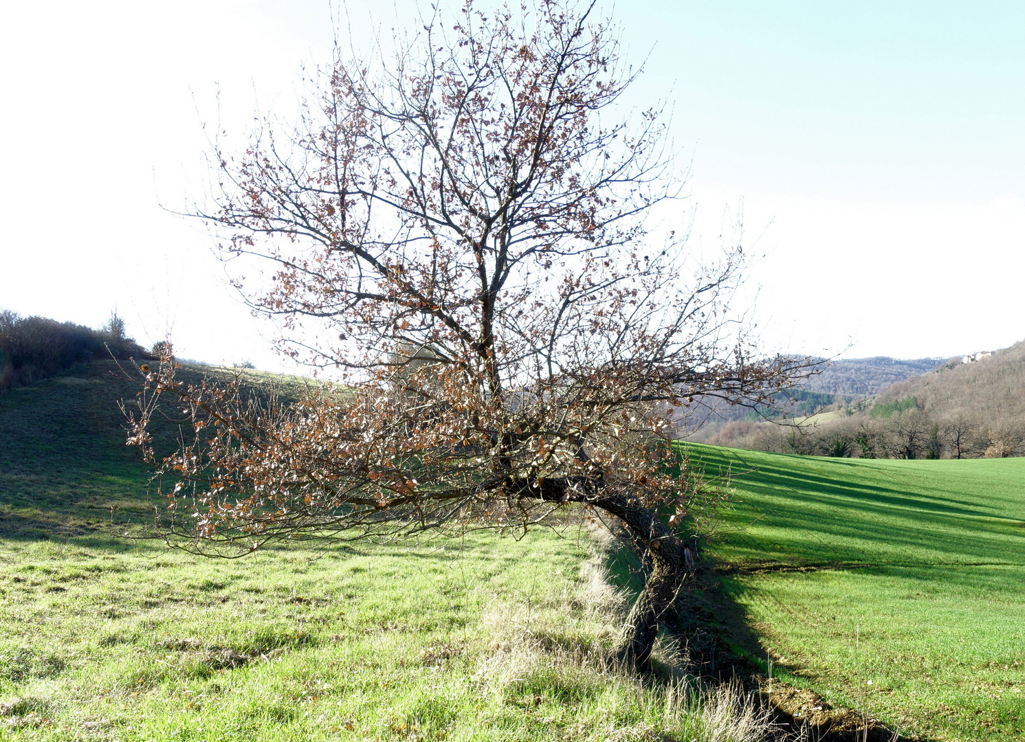 Numeri naturali