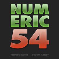 NUMERIC54