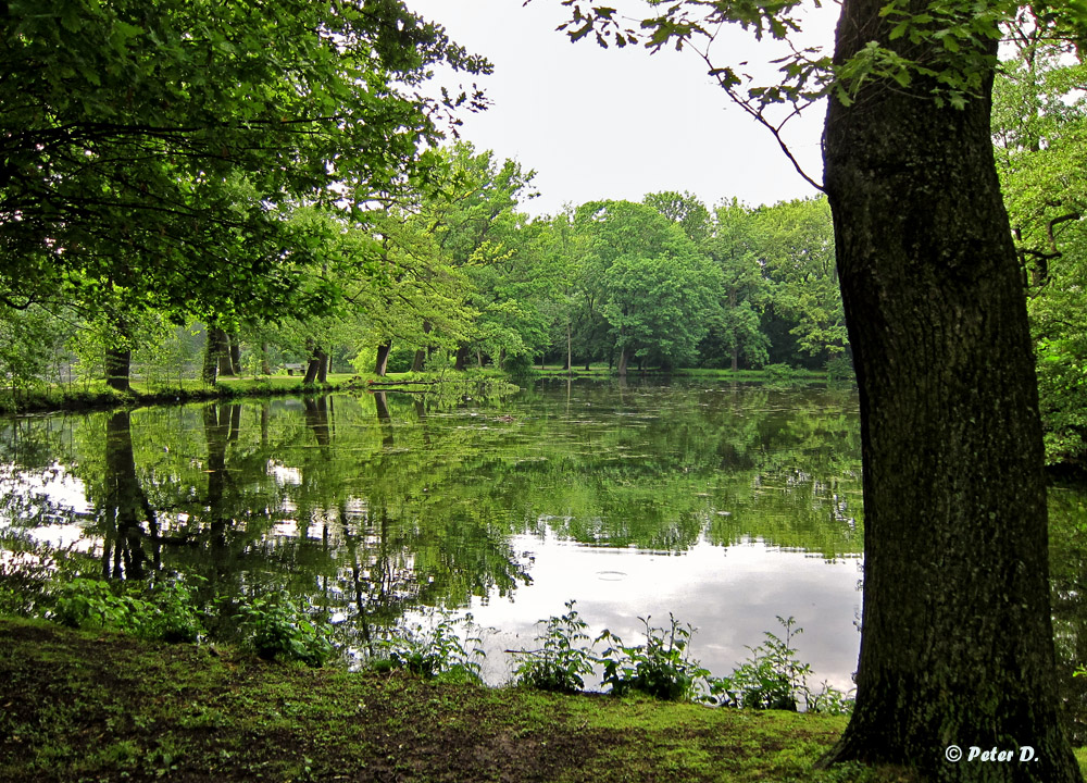 Nummernweiher