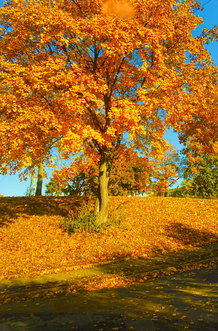 Nun bietet er alle Farben auf , .