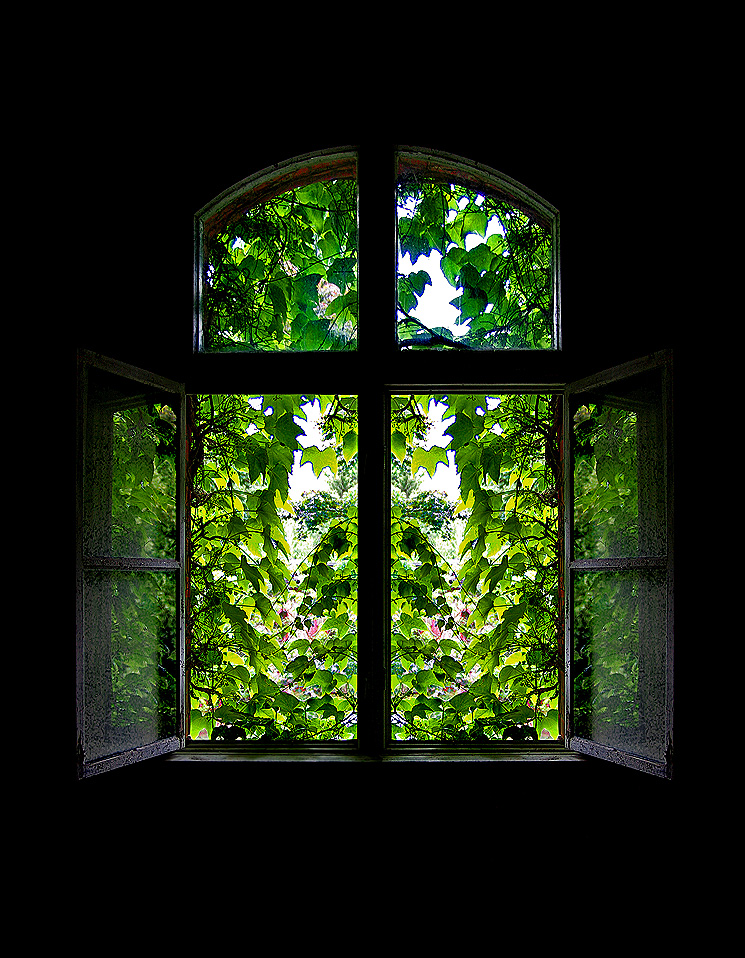 Nun das letzte Fenster....