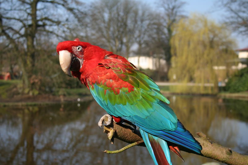 Nun erst mal ne Pause, Fliegen macht echt müde