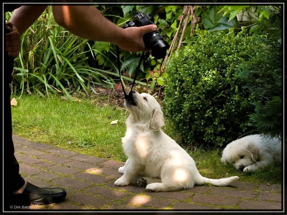 nun fotografier mich endlich