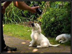 nun fotografier mich endlich