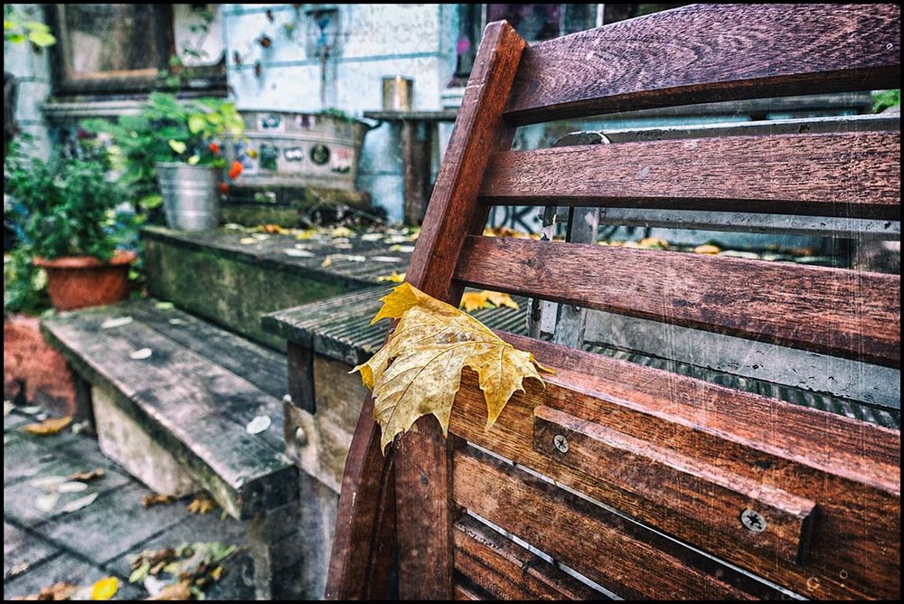 Nun geht auch der Herbst ...