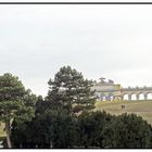 Nun gibts schöne grüsse aus schönbrunn mit blick auf die Gloriette (aus wien)