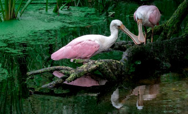 Nun halte mal dein Löffelchen