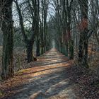 Nun hat der Herbstwind