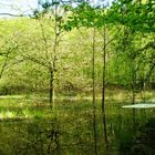 Nun ist der Frühling endlich da.