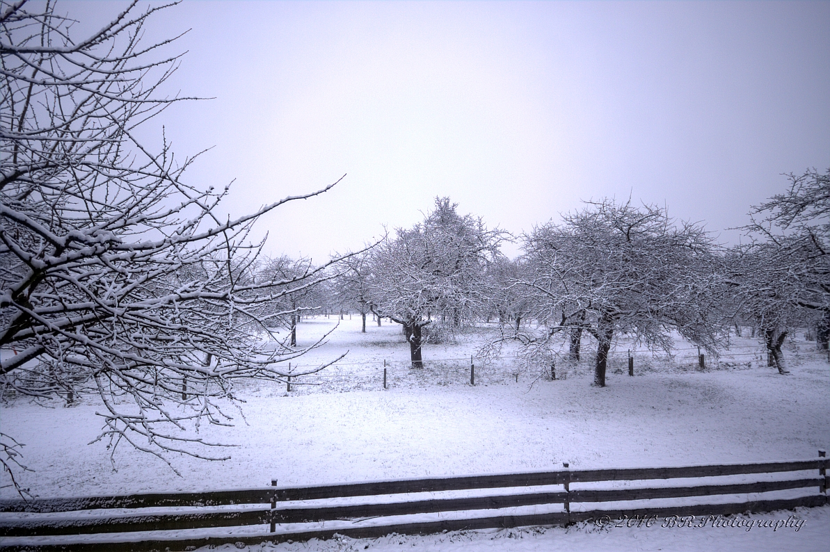 nun ist er da... Winter auf dem Land (BW)