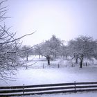 nun ist er da... Winter auf dem Land (BW)