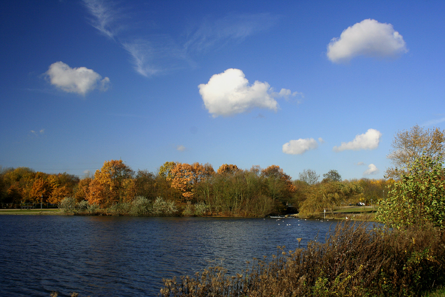 Nun ist es Herbst geworden...